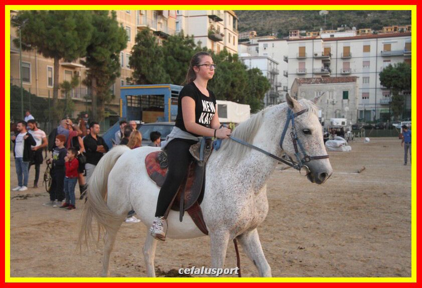 161106 equestre 144_tn.jpg